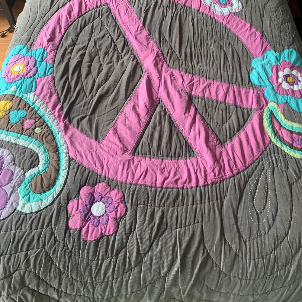 Pottery Barn Teen Quilt and shams